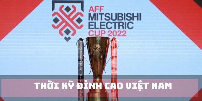 Đỉnh cao thời điểm Việt Nam vô địch AFF CUP