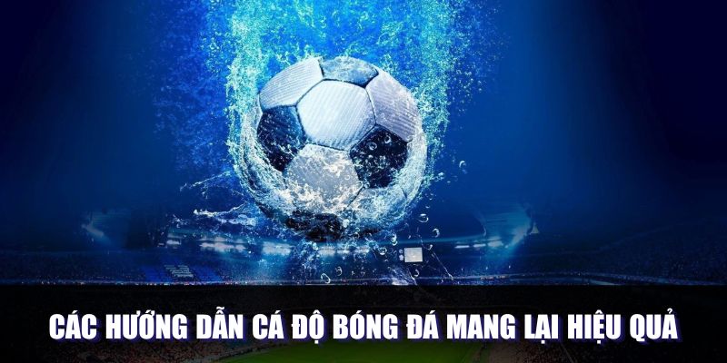 Các hướng dẫn cá độ bóng đá mang lại hiệu quả