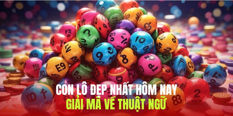 Đôi nét về thuật ngữ con lô đẹp nhất hôm nay dành cho người mới