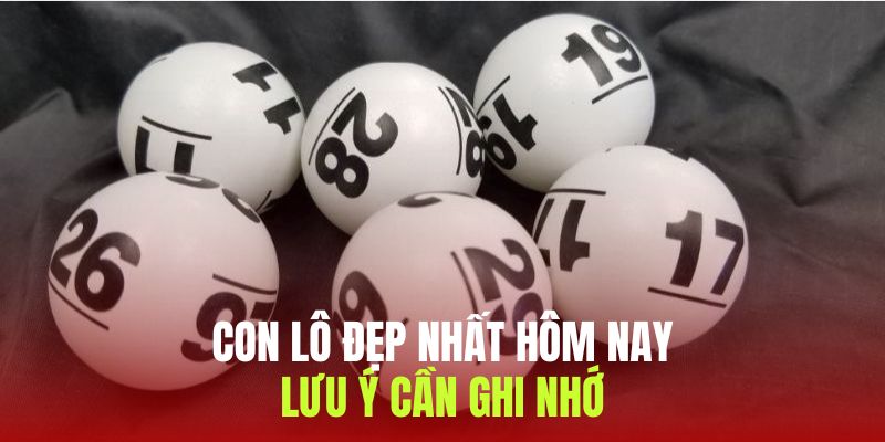Những lưu ý giúp tạo các bộ lô đẹp, hiệu quả mỗi ngày