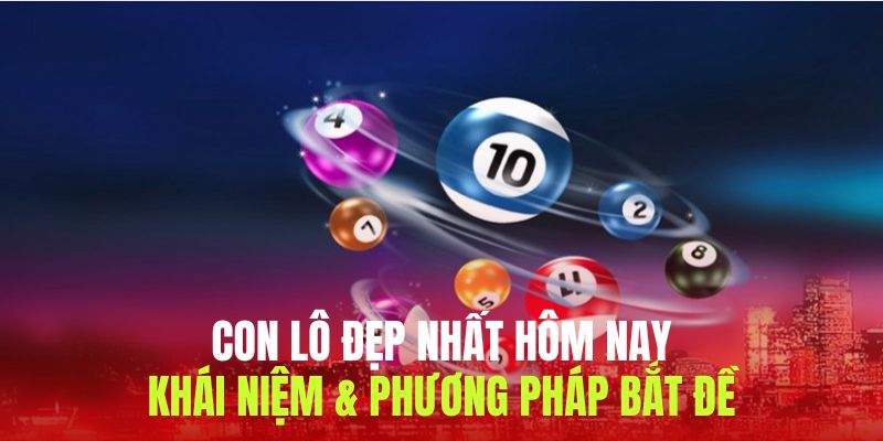 Con Lô Đẹp Nhất Hôm Nay & Bí Quyết Soi Cầu Năm 2025