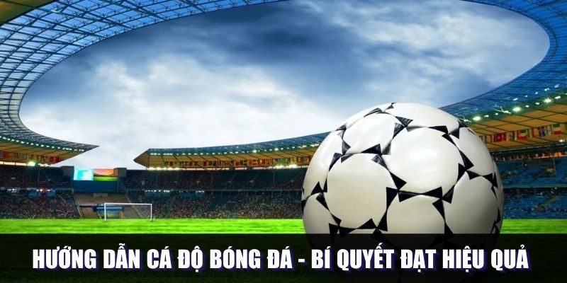 Hướng Dẫn Cá Độ Bóng Đá - Bí Quyết Đạt Hiệu Quả Tuyệt Đối