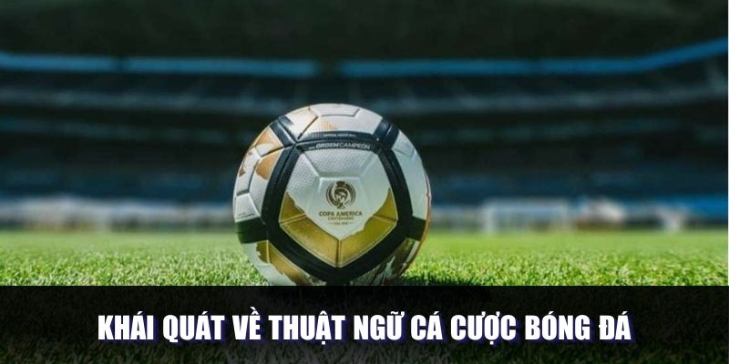 Khái quát về thuật ngữ cá cược bóng đá