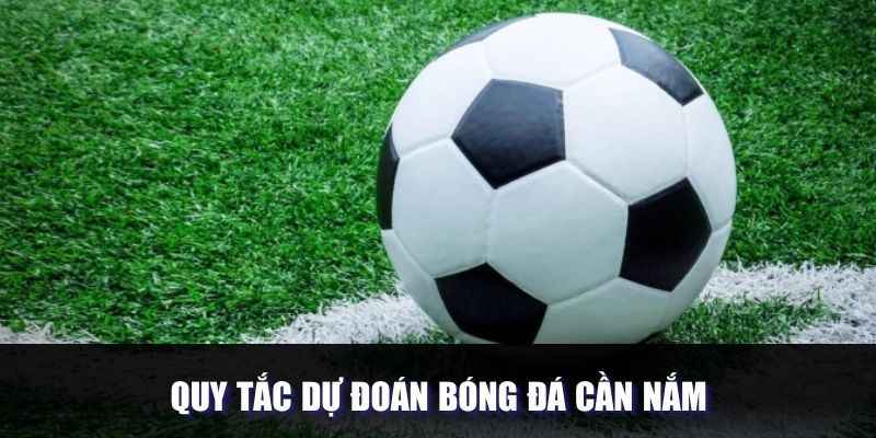 Quy tắc dự đoán bóng đá cần nắm