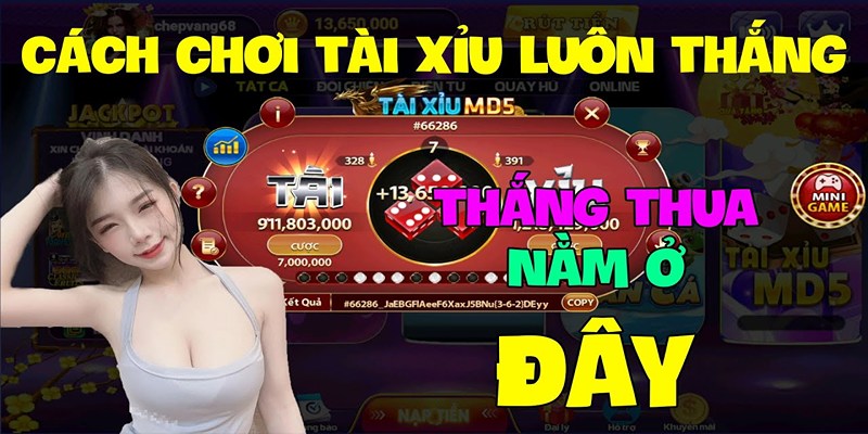 Tâm lý chơi thoải mái giúp bạn đánh tài xỉu FUN88 dễ thắng hơn