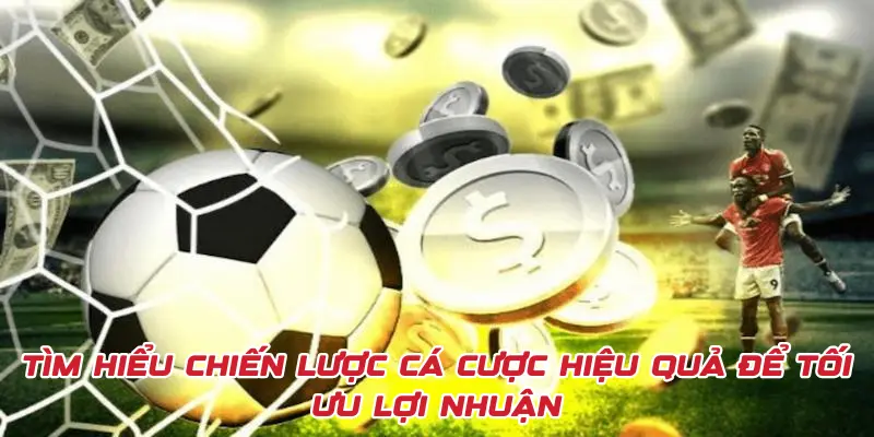 Tìm hiểu hướng dẫn cá cược hiệu quả để tối ưu lợi nhuận