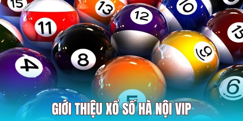 Sản phẩm tự phát diễn ra hàng ngày được nhiều hội viên yêu thích